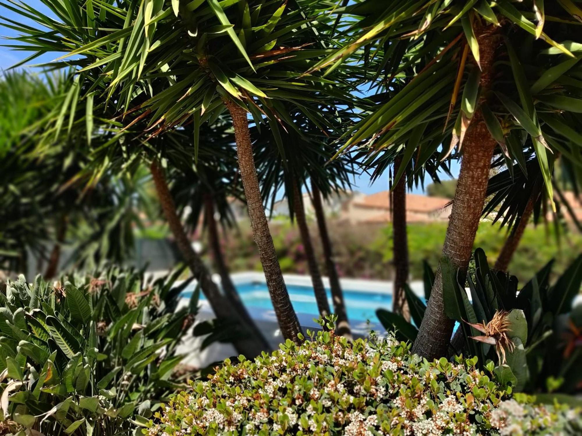 Pool Seaside Relais - Ville Ninfea, Marea, Rosa E Cassiopea フォンターネ・ビアンケ エクステリア 写真